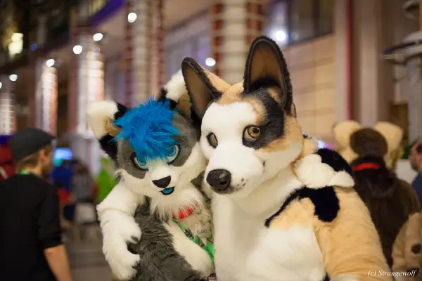 IMG_0878-lr19t.jpg of NFC/NFC2018/