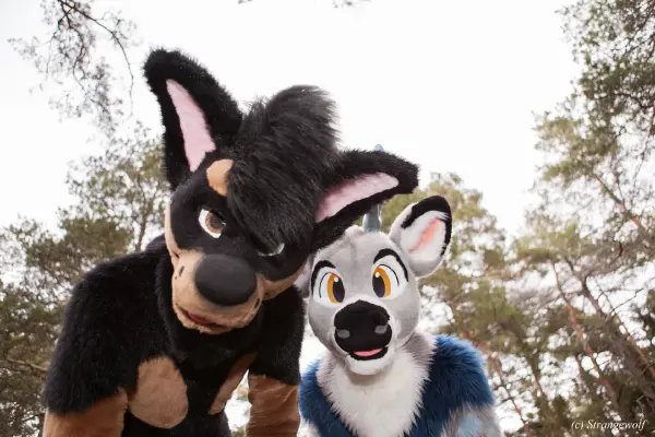 IMG_8585-lr19t.jpg of NFC/NFC2019/Shoot-Strife_Carlito/