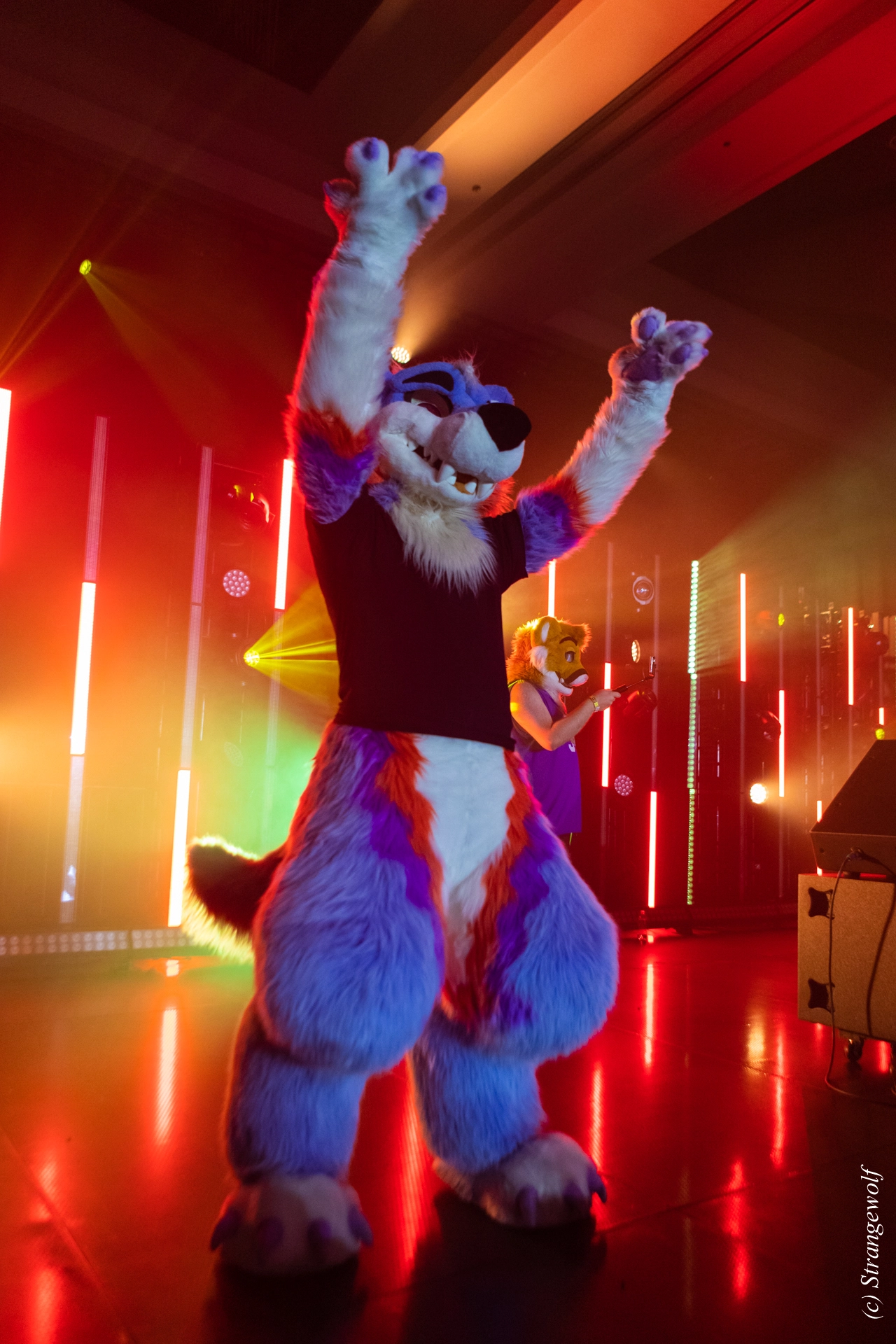 full image 1R3A5246-lr19t.jpg