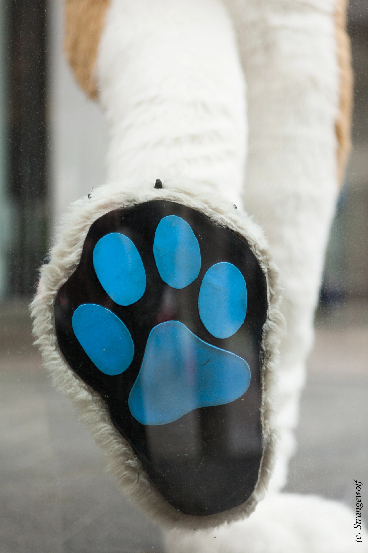 full image IMG_1736-lr19t.jpg