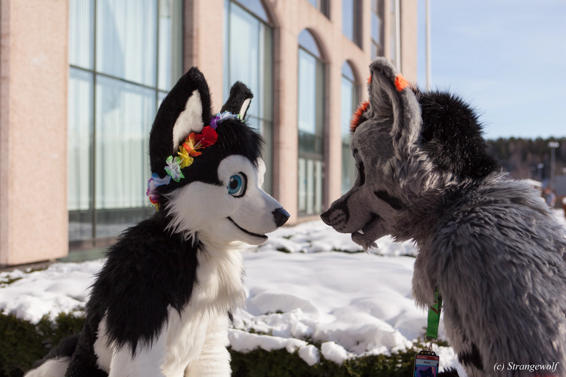 full image IMG_9768-lr19t.jpg