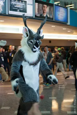 IMG_1040-lr16t.jpg of FC/FC2017/