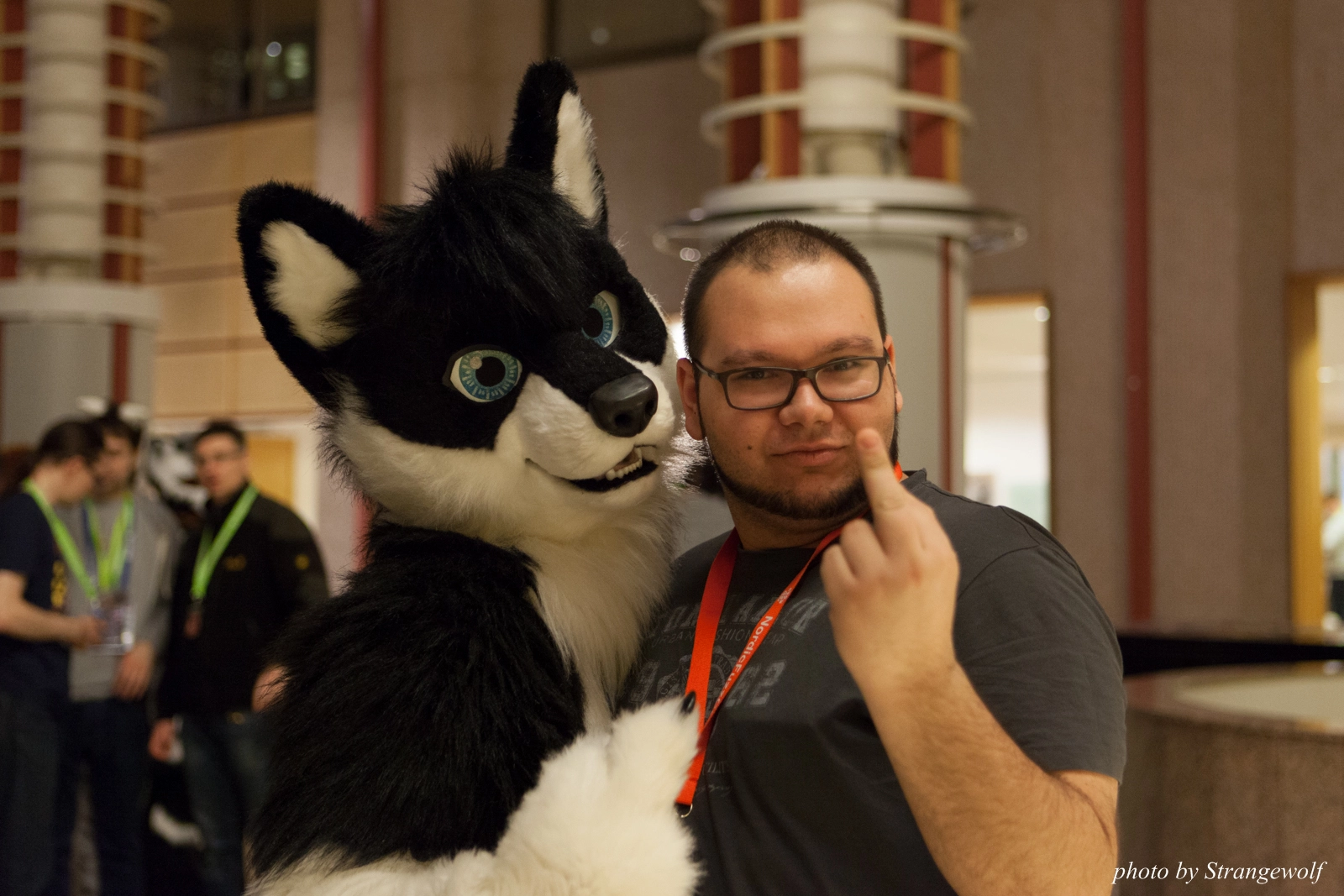 full image IMG_1753-lr16t.jpg