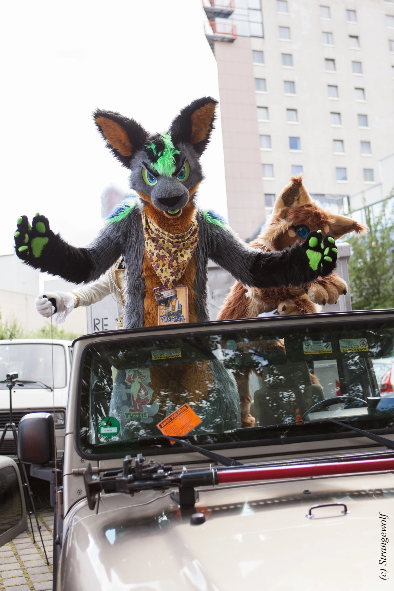 full image IMG_6925-lr19t.jpg