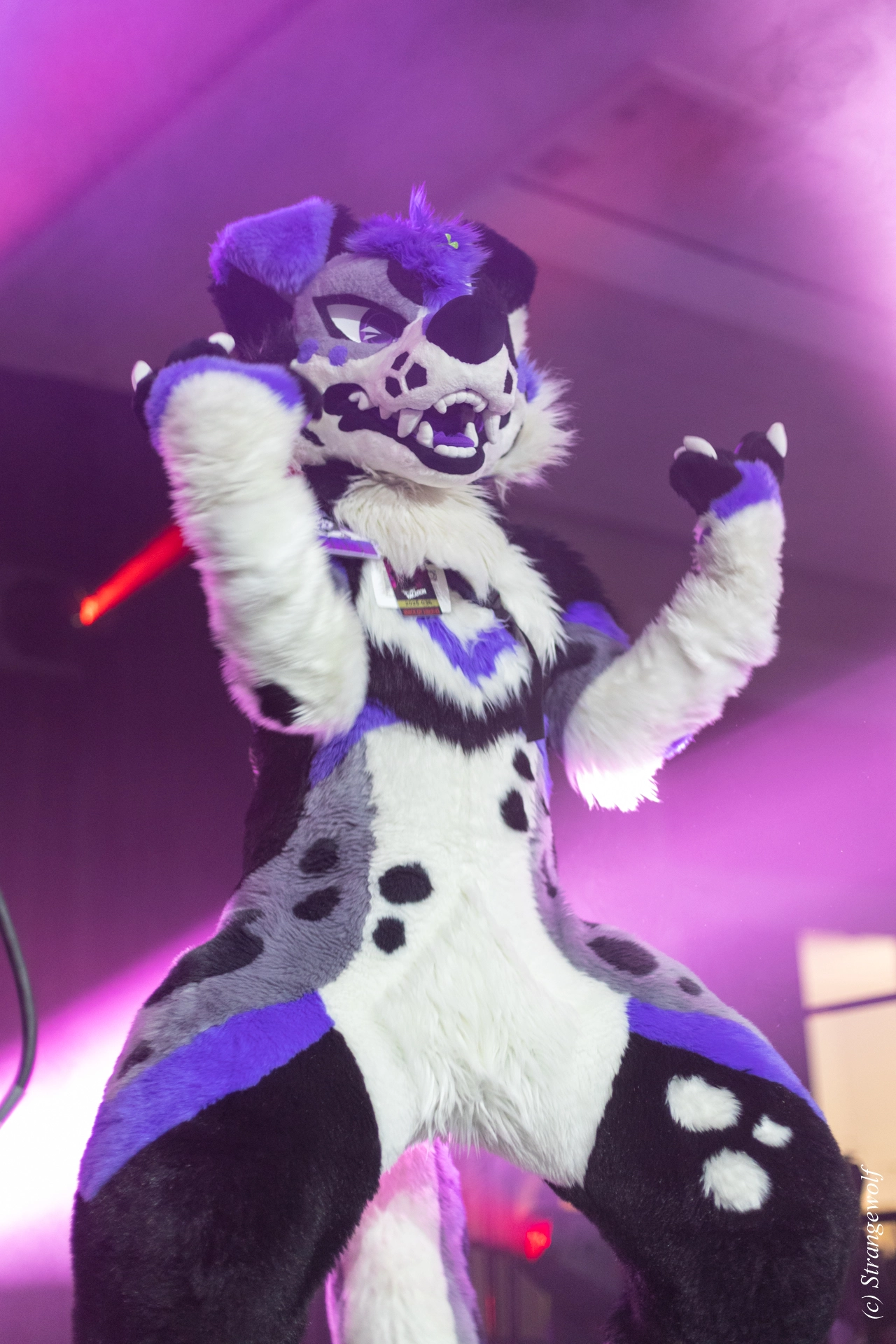 full image 1R3A0727-lr19t.jpg