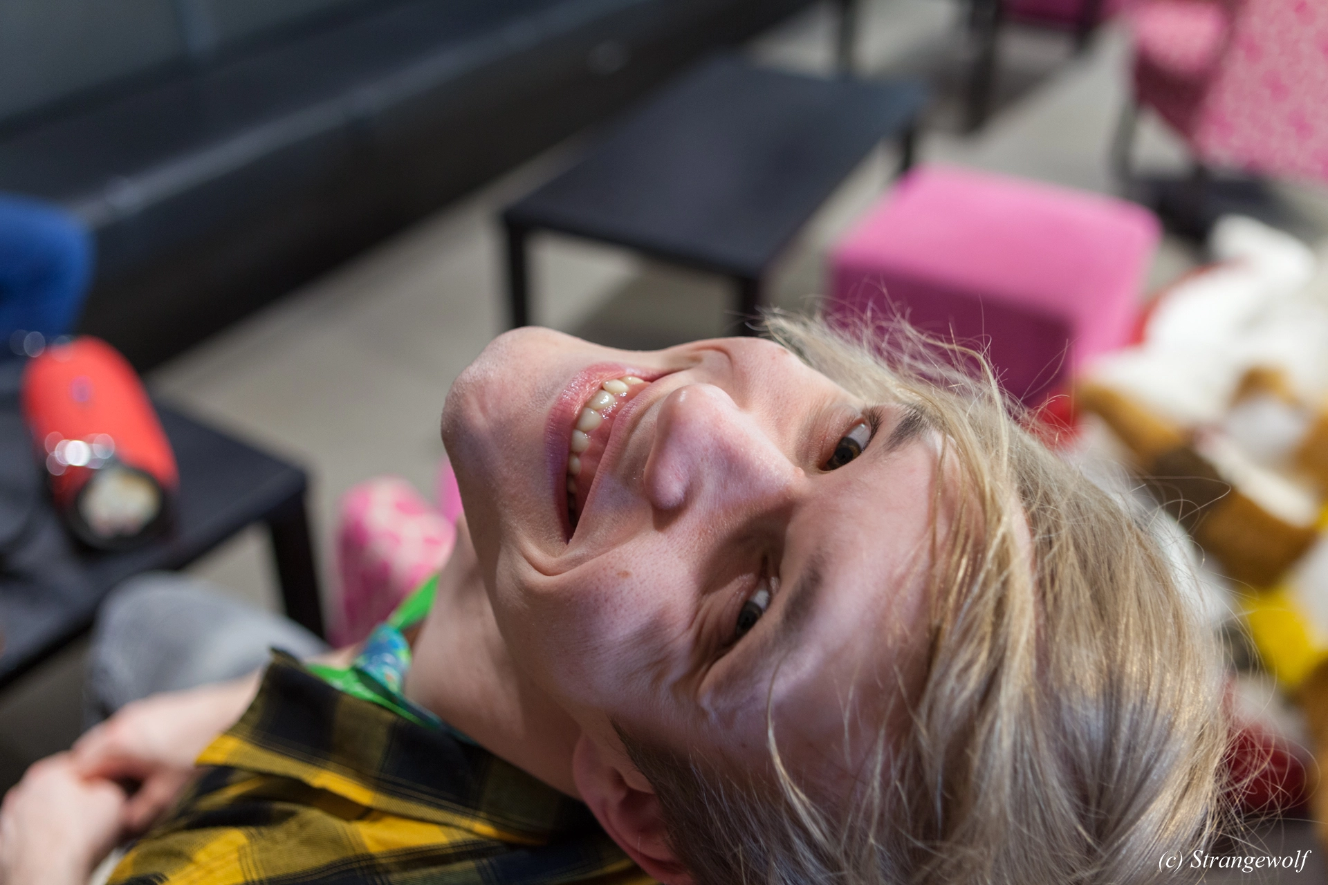 full image IMG_7134-lr19t.jpg