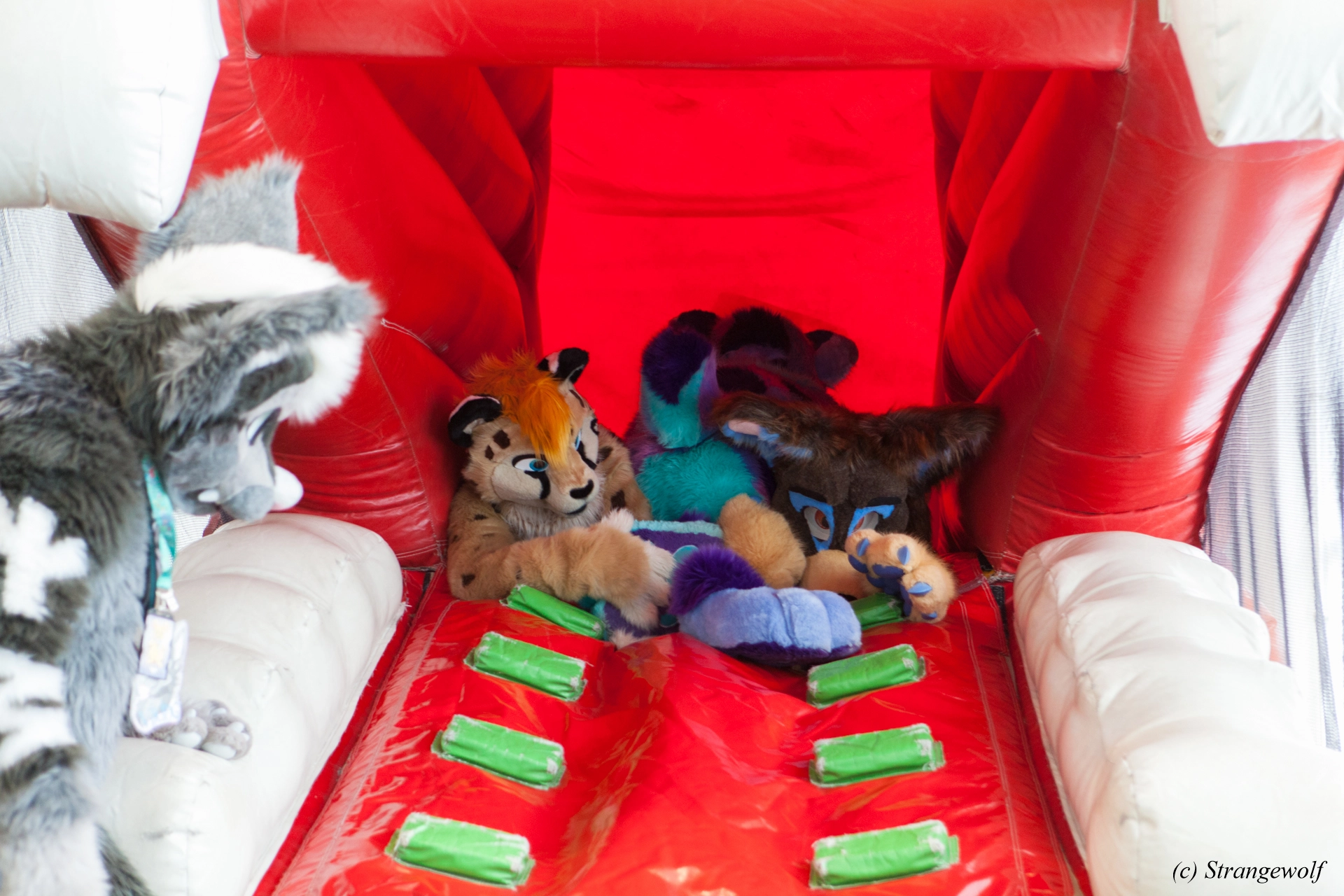 full image IMG_8838-lr19t.jpg