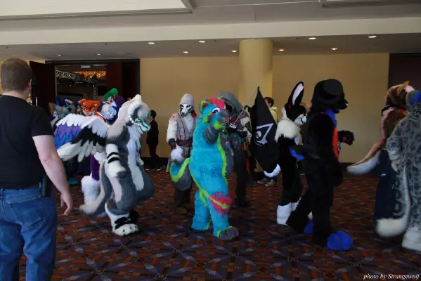 IMG_0531-lr.jpg of MFF/MFF2013/