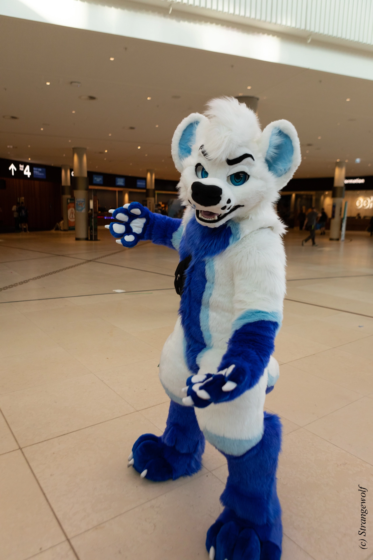 full image 1R3A9054-lr19t.jpg