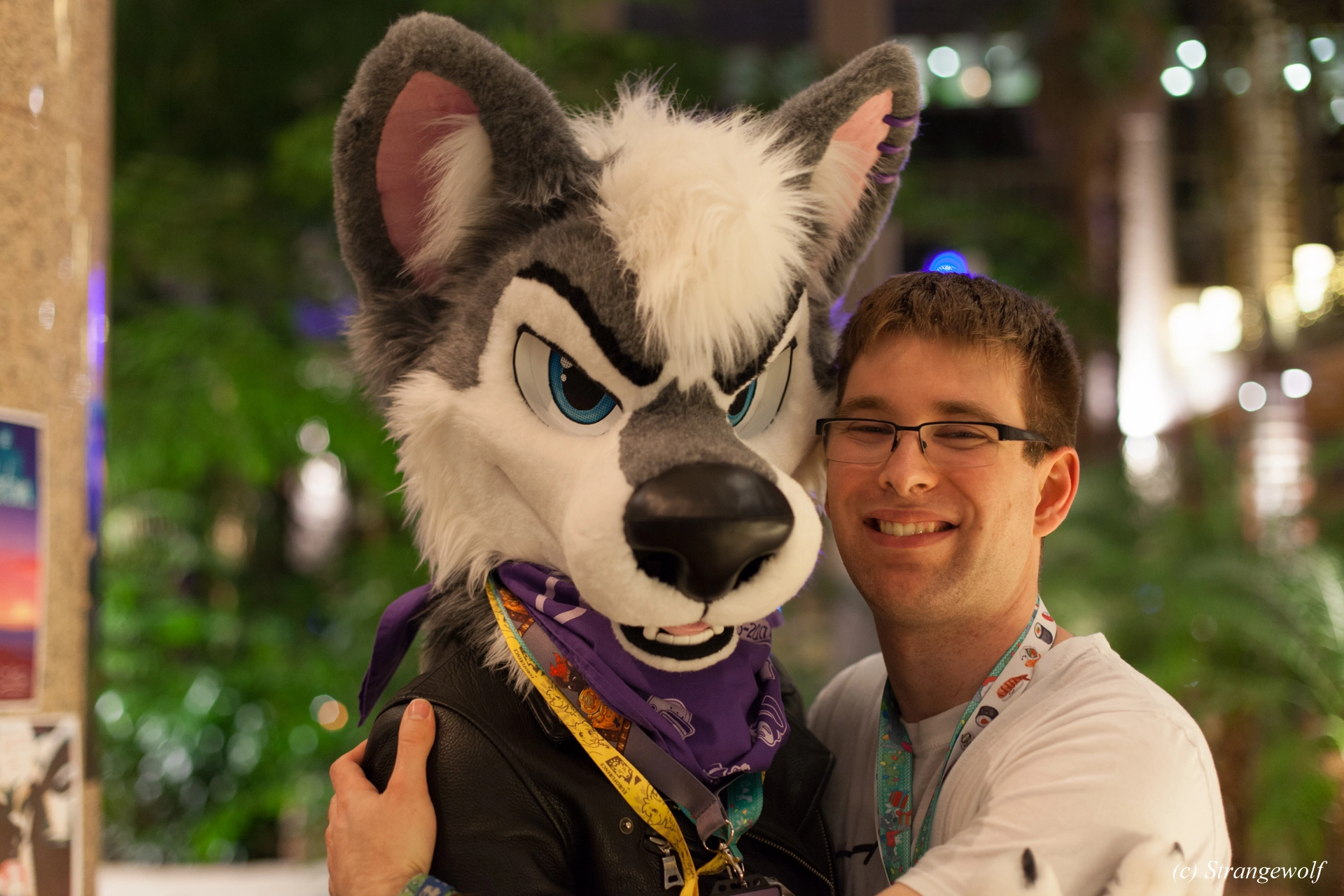 full image IMG_9201-lr19t.jpg