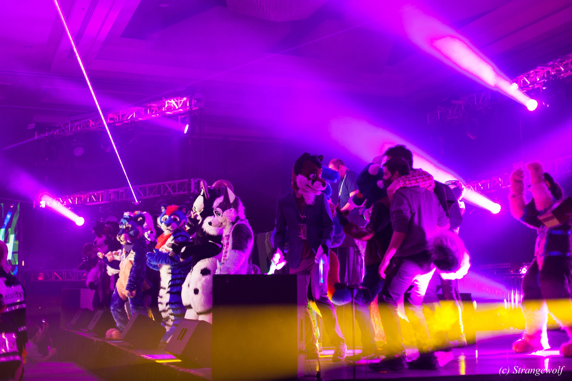full image IMG_1345-lr19t.jpg