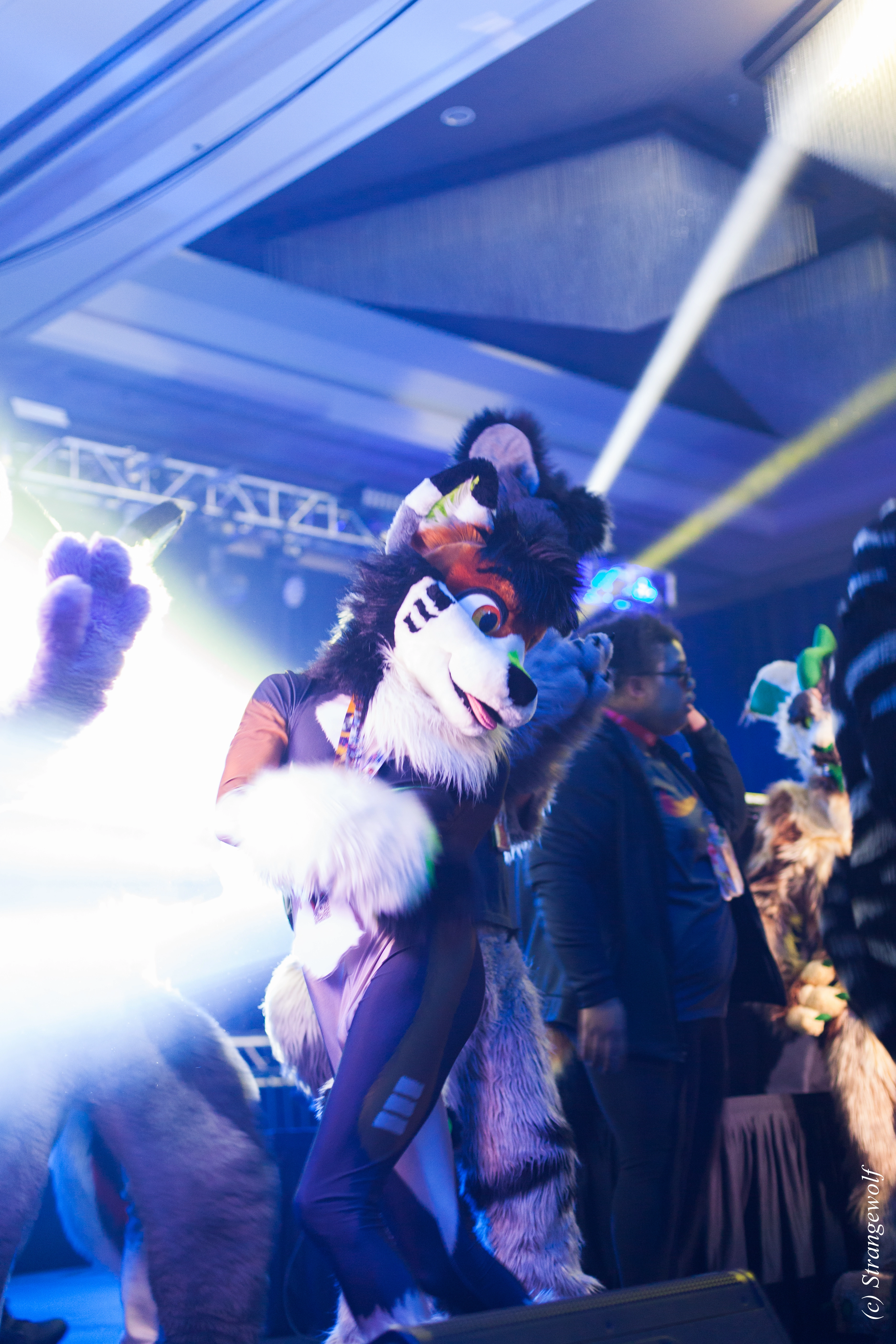 full image IMG_1293-lr.jpg