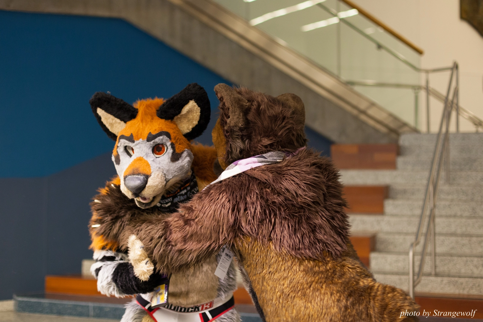 full image IMG_1184-lr16t.jpg