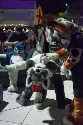 IMG_8574-lr16t.jpg of ESG/ESG2015/