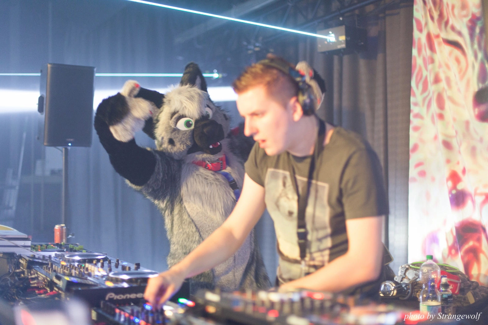 full image IMG_8682-lr16t.jpg