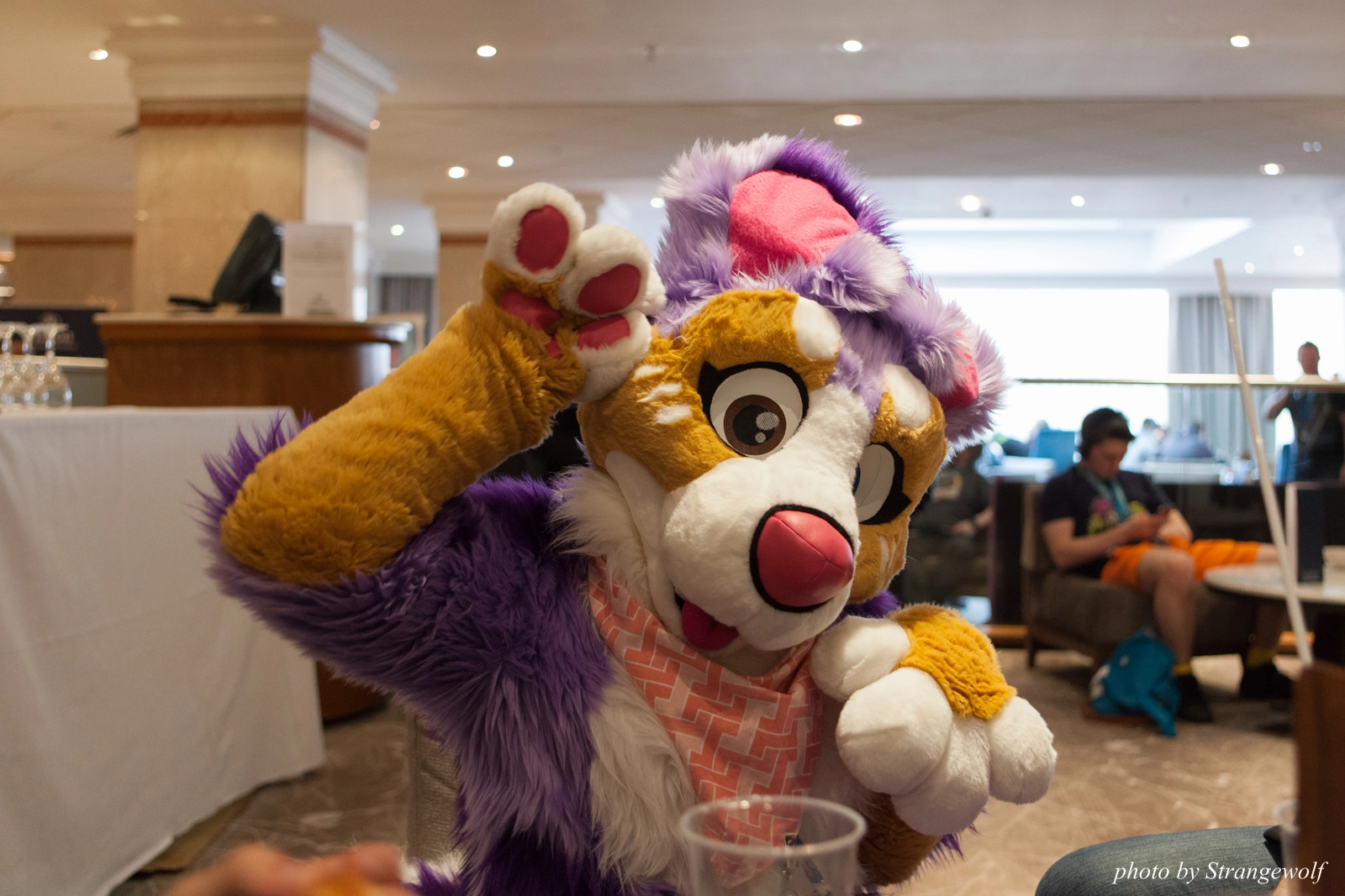 full image IMG_7546-lr16t.jpg