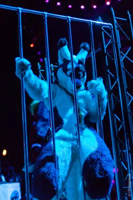 IMG_9229-lr19t.jpg of NFC/NFC2020/