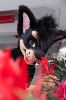 IMG_2968-lr19t.jpg of BLFC/2018/