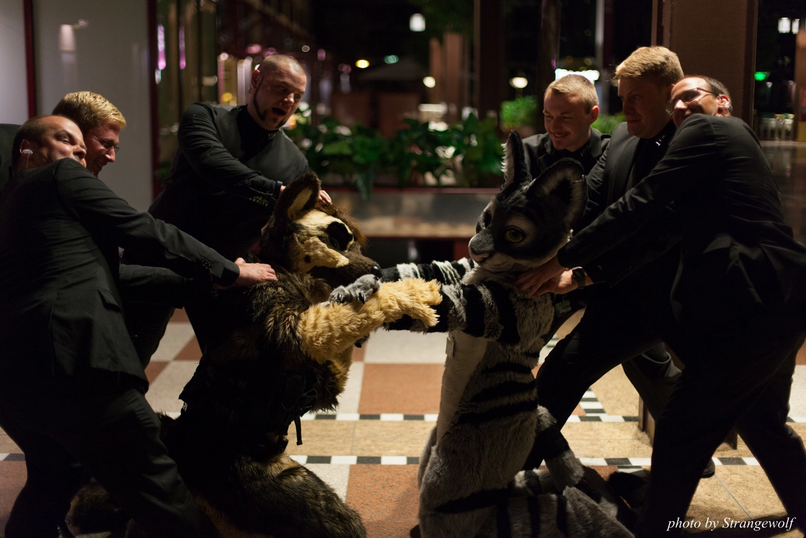 full image IMG_8843-lr16t.jpg