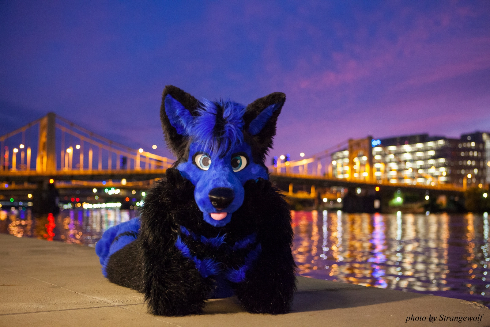 full image IMG_8425-lr16t.jpg