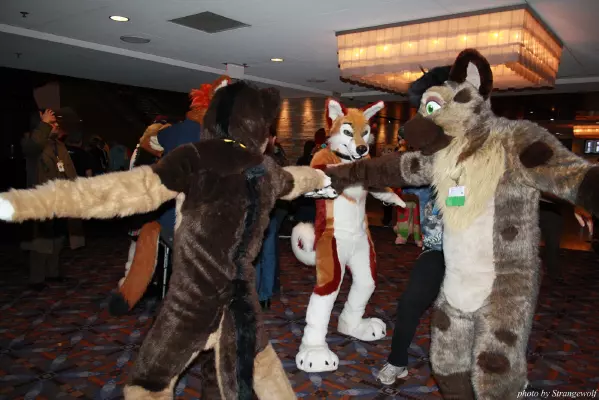 IMG_1135-lr.jpg of MFF/MFF2013/
