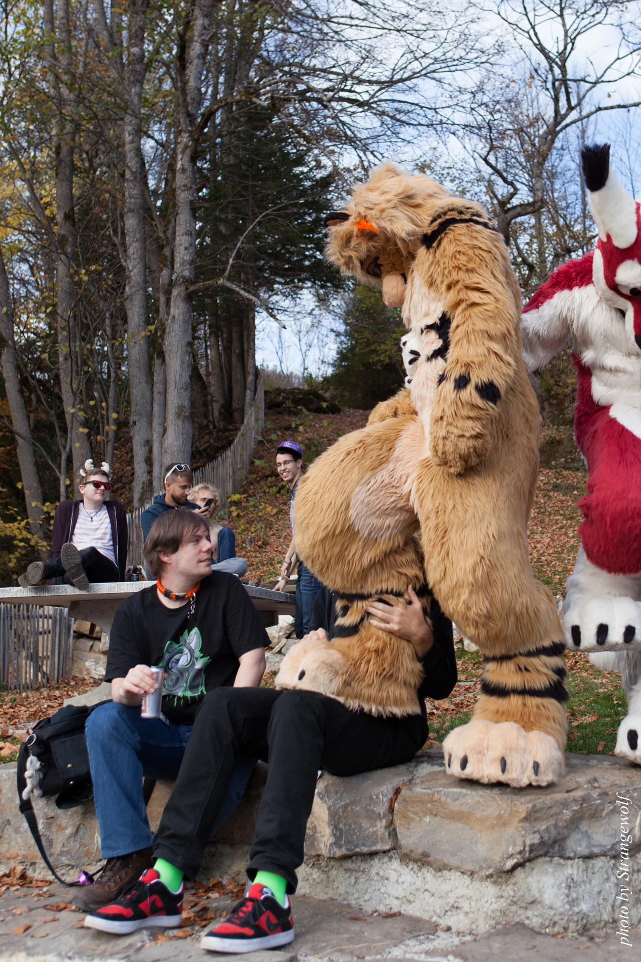 full image IMG_7770-lr19t.jpg