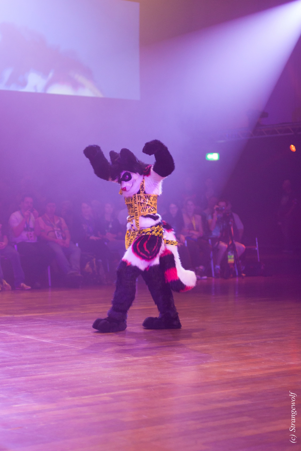 full image IMG_6575-lr19t.jpg