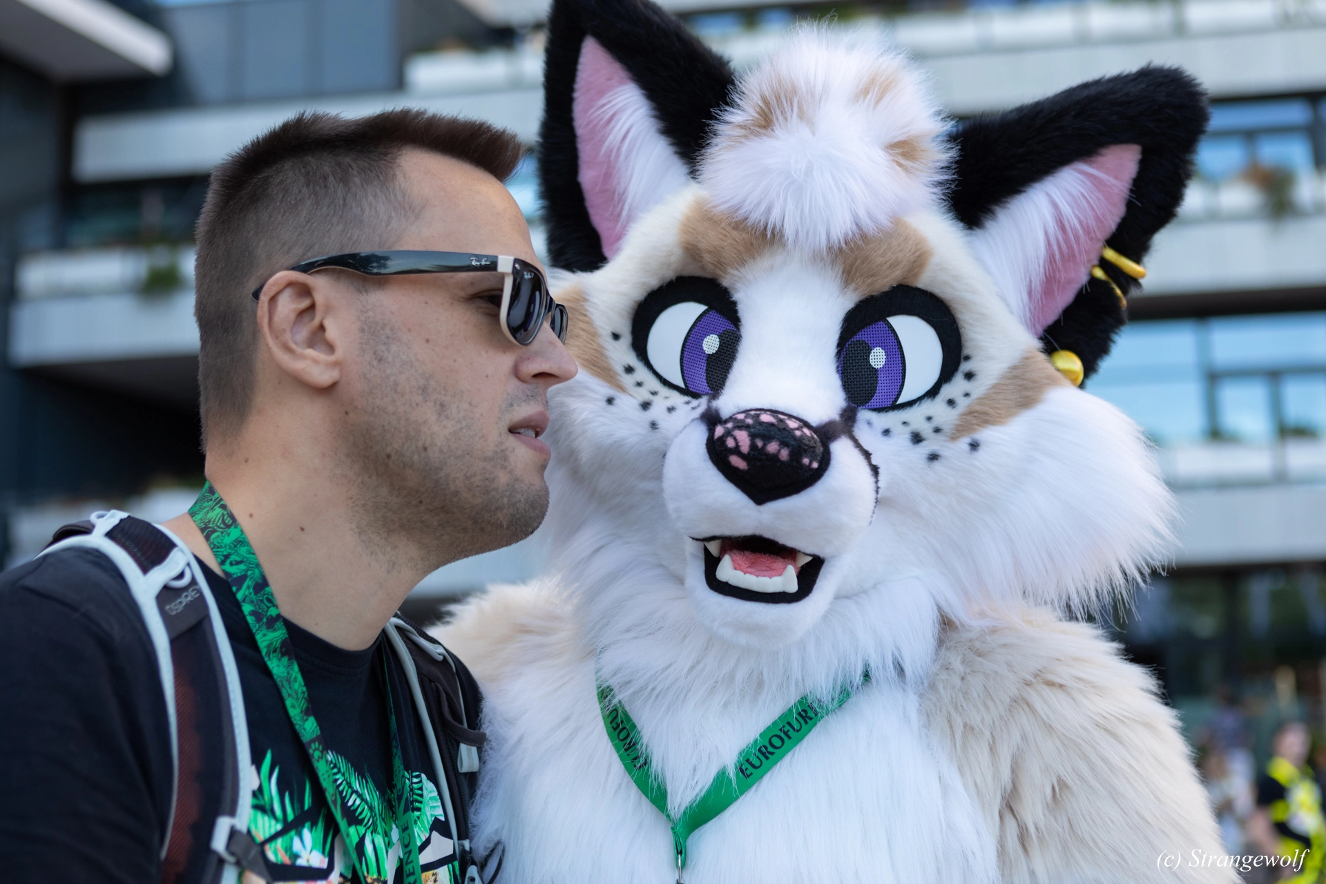 full image 1R3A9339-lr19t.jpg