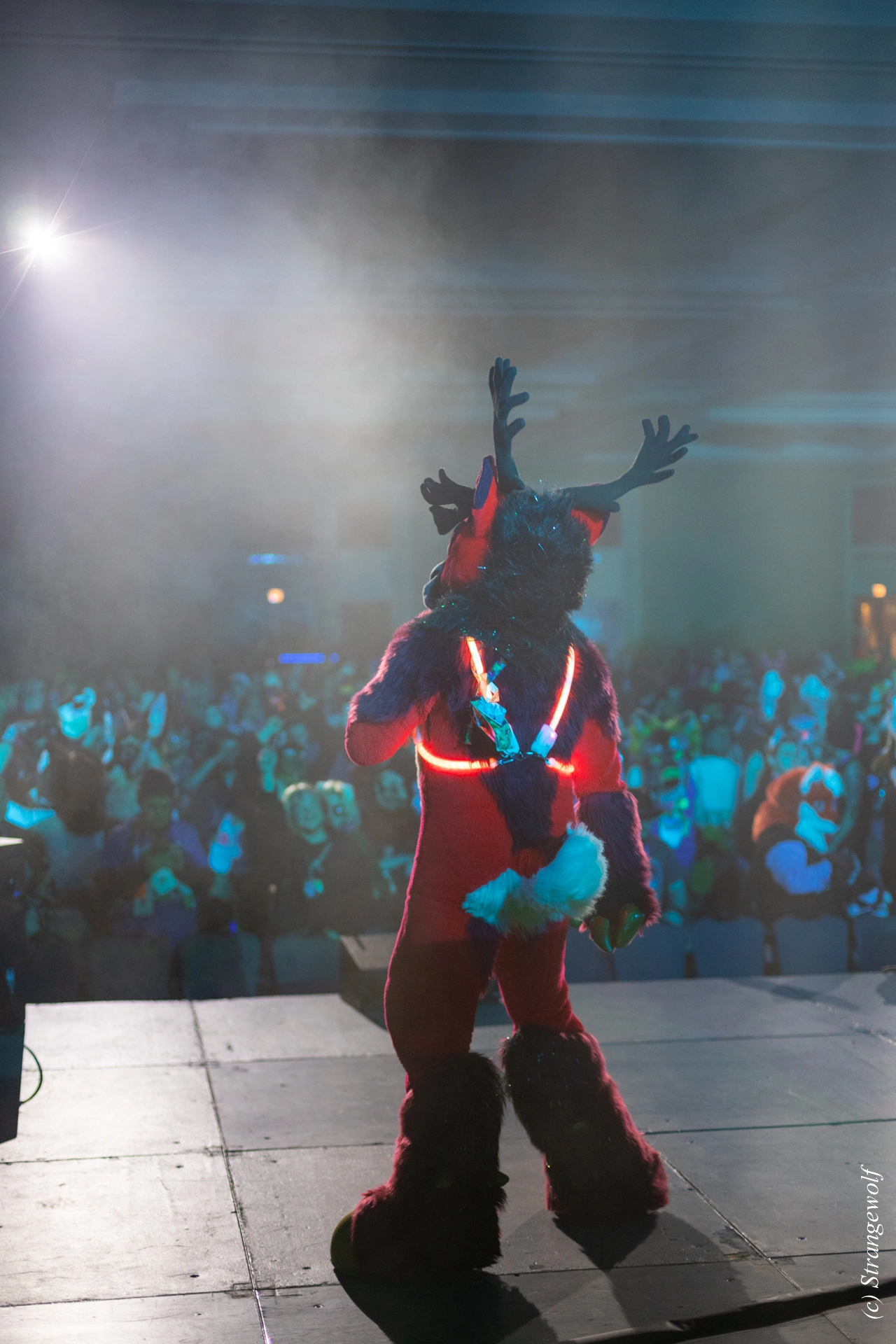 full image 1R3A0393-lr19t.jpg