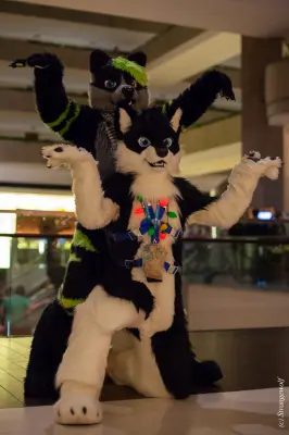 IMG_6562-lr19t.jpg of MFF/MFF2015/