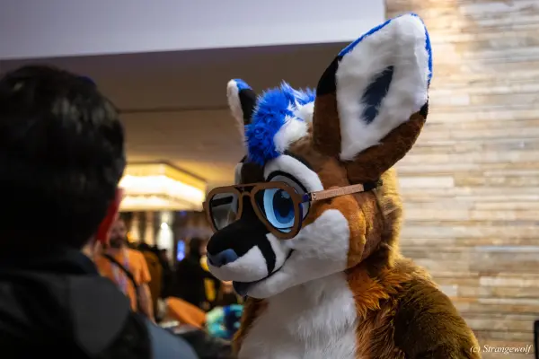 1R3A0294-lr19t.jpg of MFF/MFF2025/