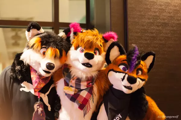 IMG_8007-lr19t.jpg of MFF/MFF2018/