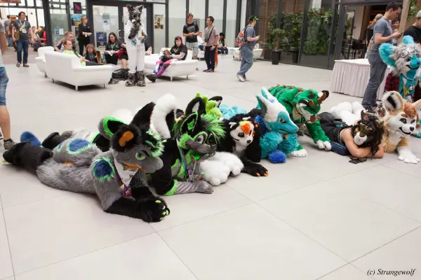 IMG_5346-lr19t.jpg of EF/EF24/