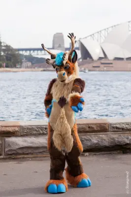 IMG_4315-lr19t.jpg of HCFC/HCFC2019/