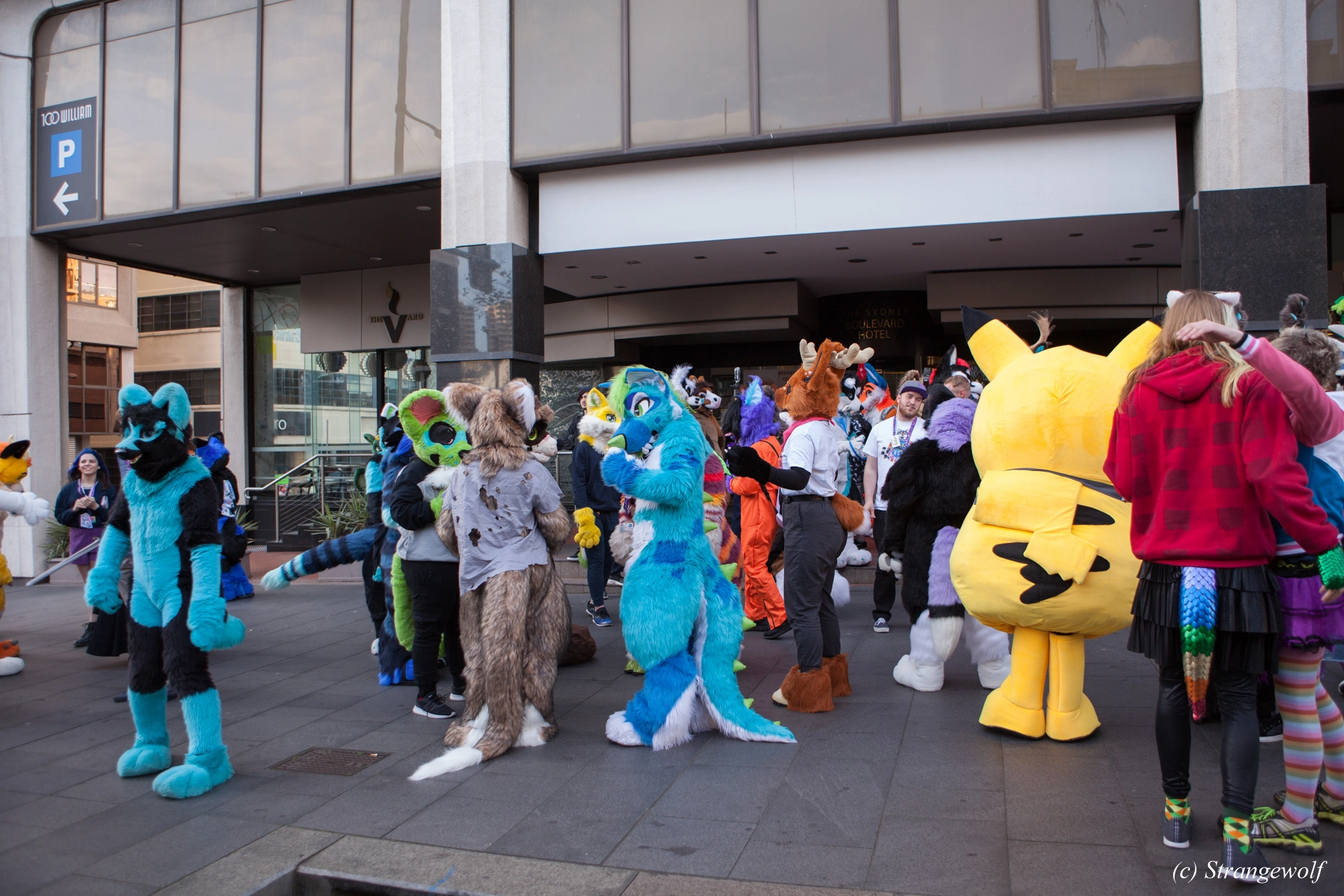 full image IMG_4569-lr19t.jpg