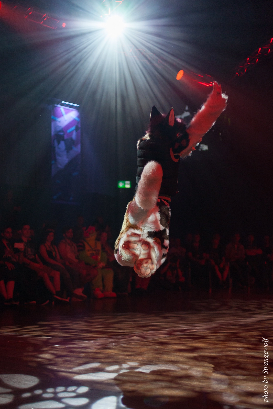 full image IMG_9468-lr16t.jpg