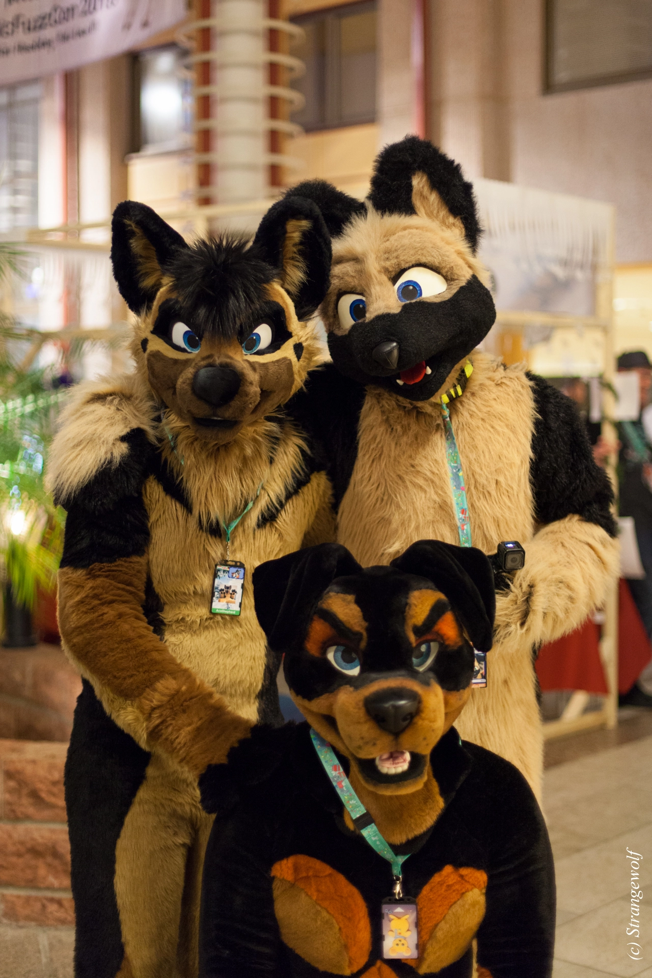 full image IMG_9335-lr19t.jpg