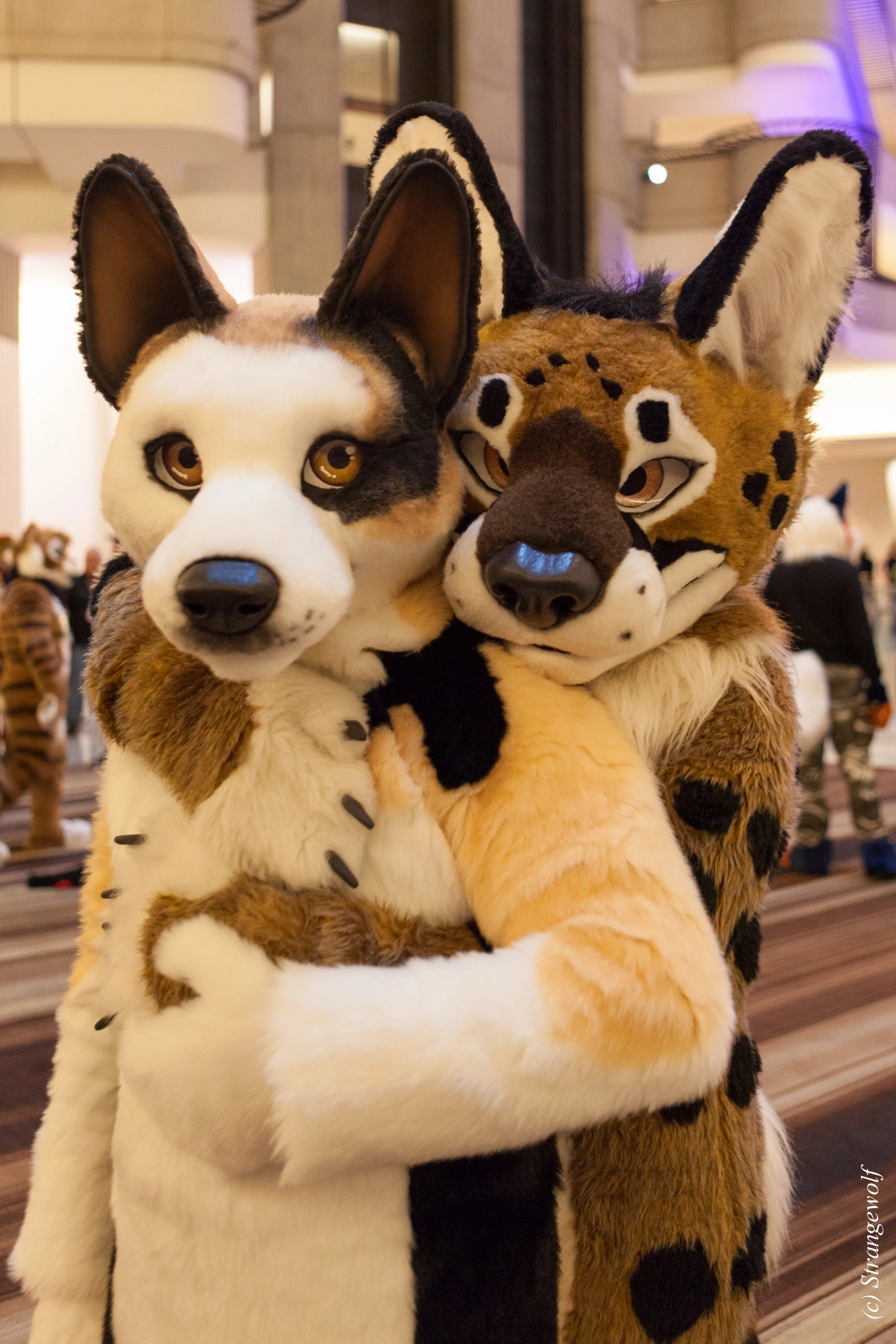 full image IMG_1776-lr19t.jpg