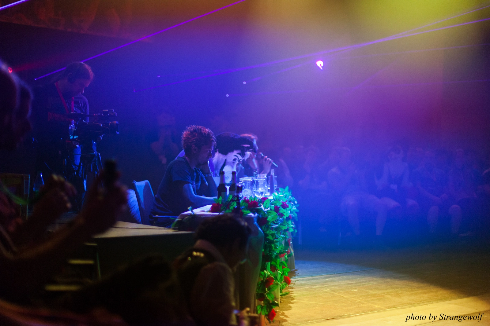 full image IMG_2784-lr16t.jpg