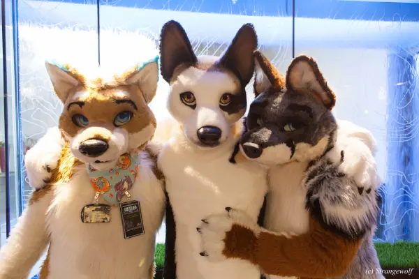 IMG_1656-lr19t.jpg of FWA/FWA2018/