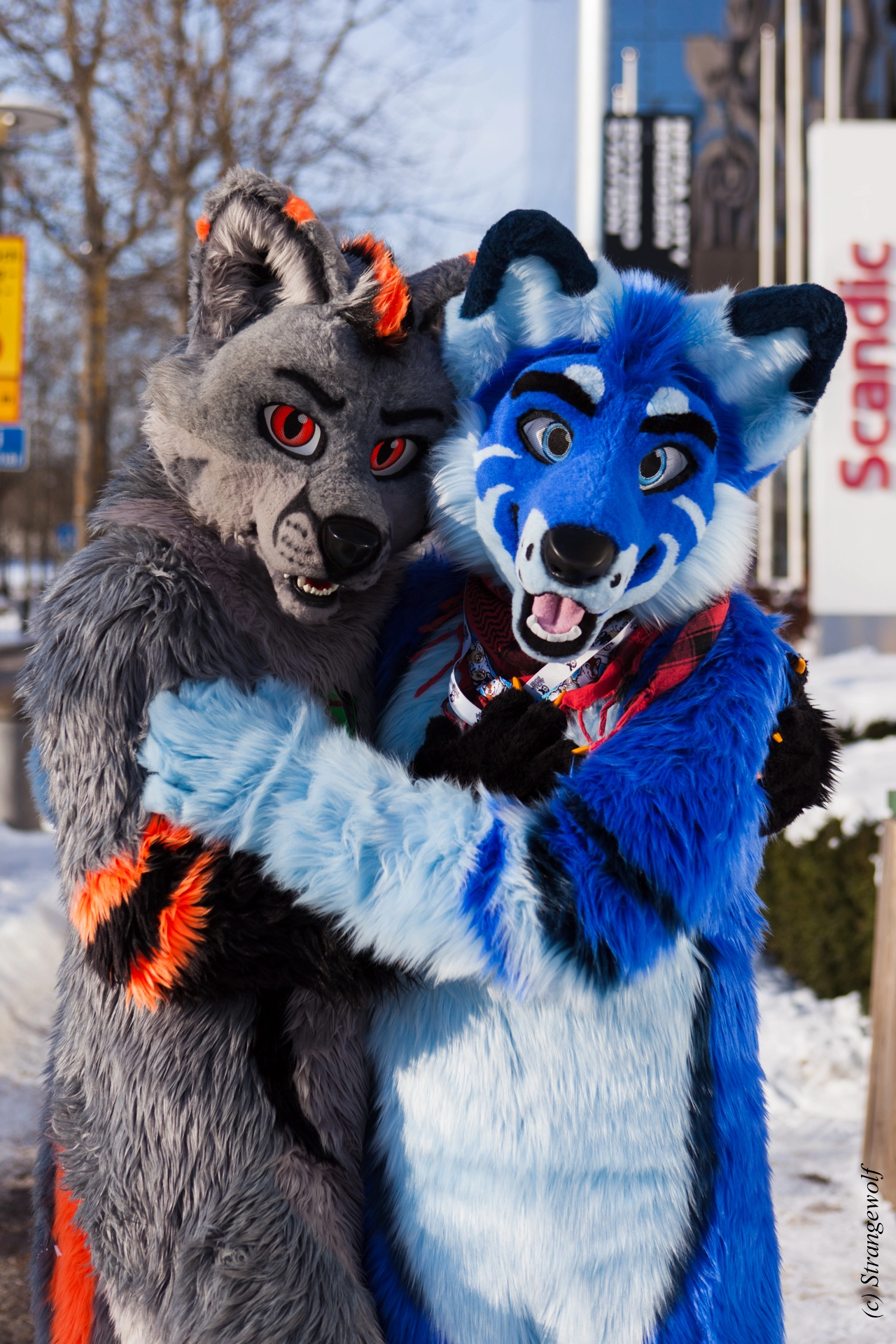 full image IMG_9970-lr19t.jpg