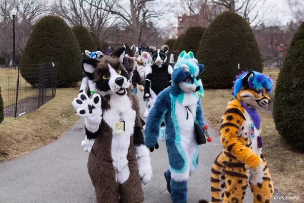 IMG_3119-lr19t.jpg of ANE/ANE2022/Suitwalk/