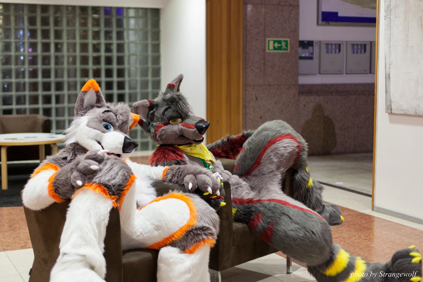 full image IMG_1627-lr16t.jpg