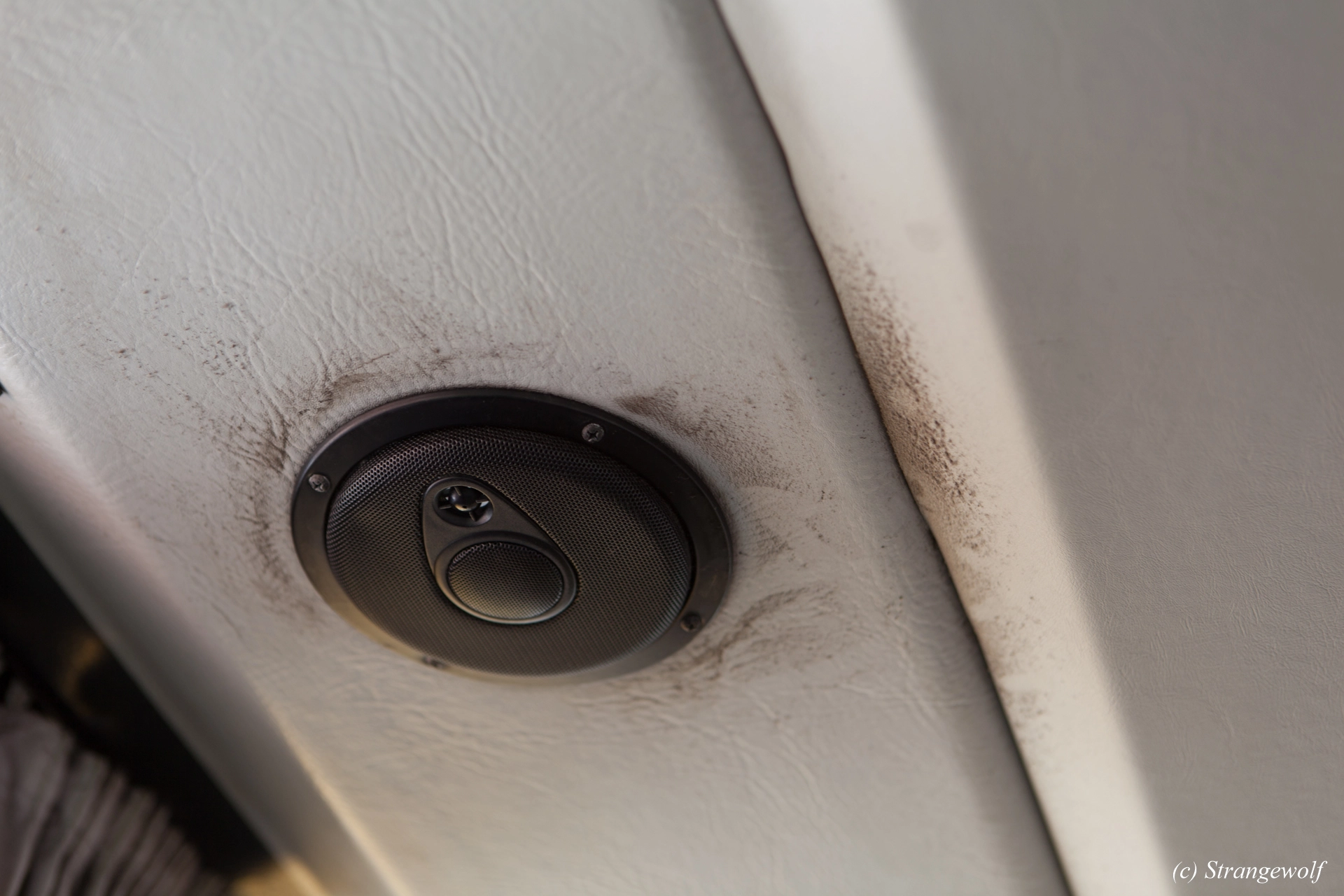 full image IMG_4393-lr19t.jpg