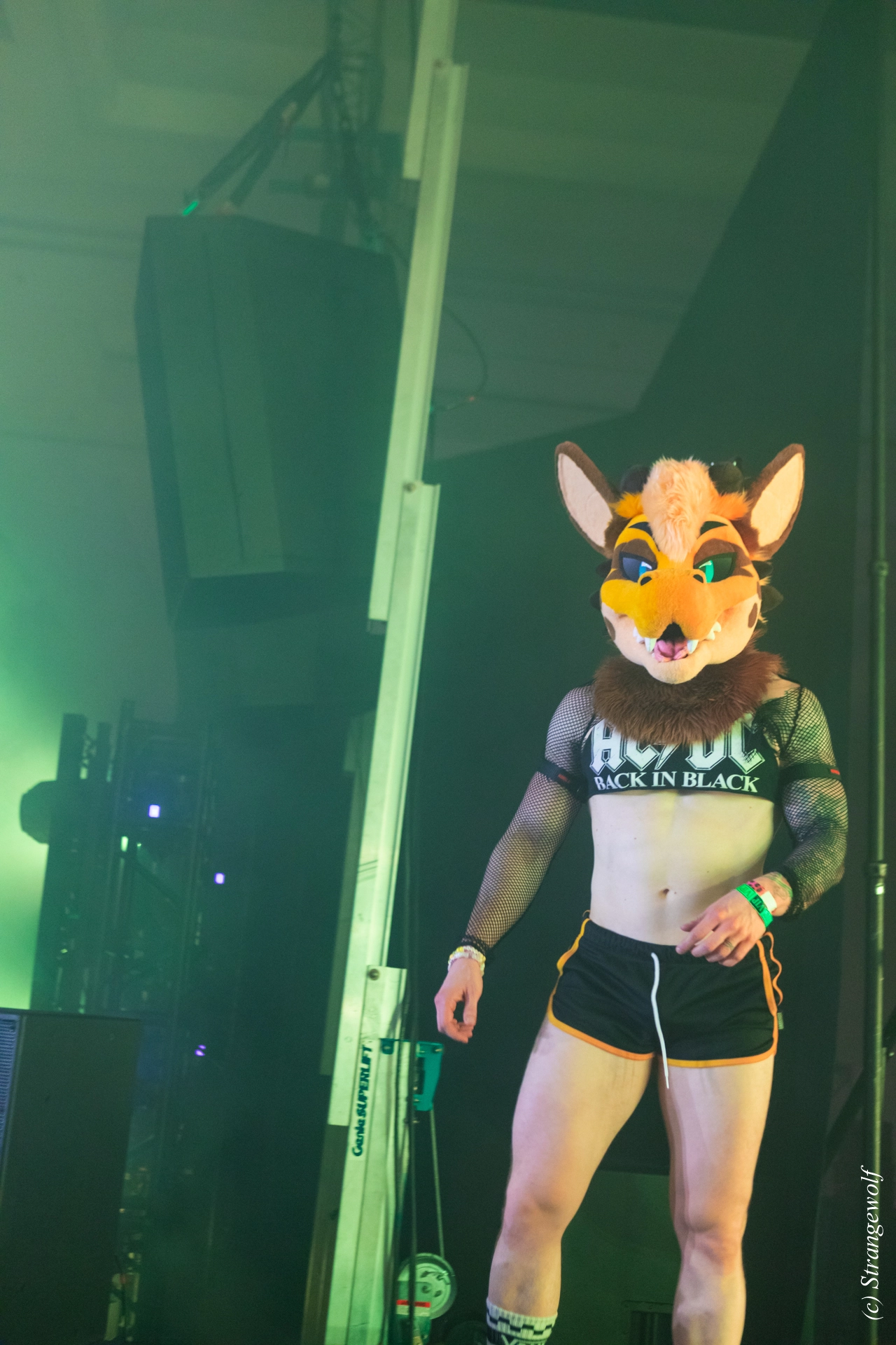 full image 1R3A6836-lr19t.jpg