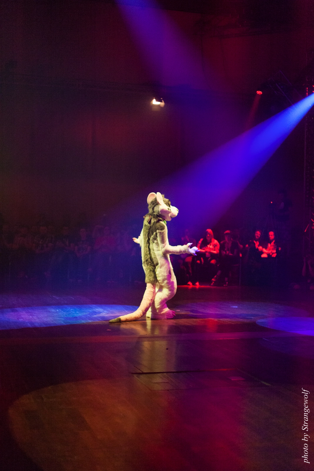 full image IMG_2424-lr16t.jpg