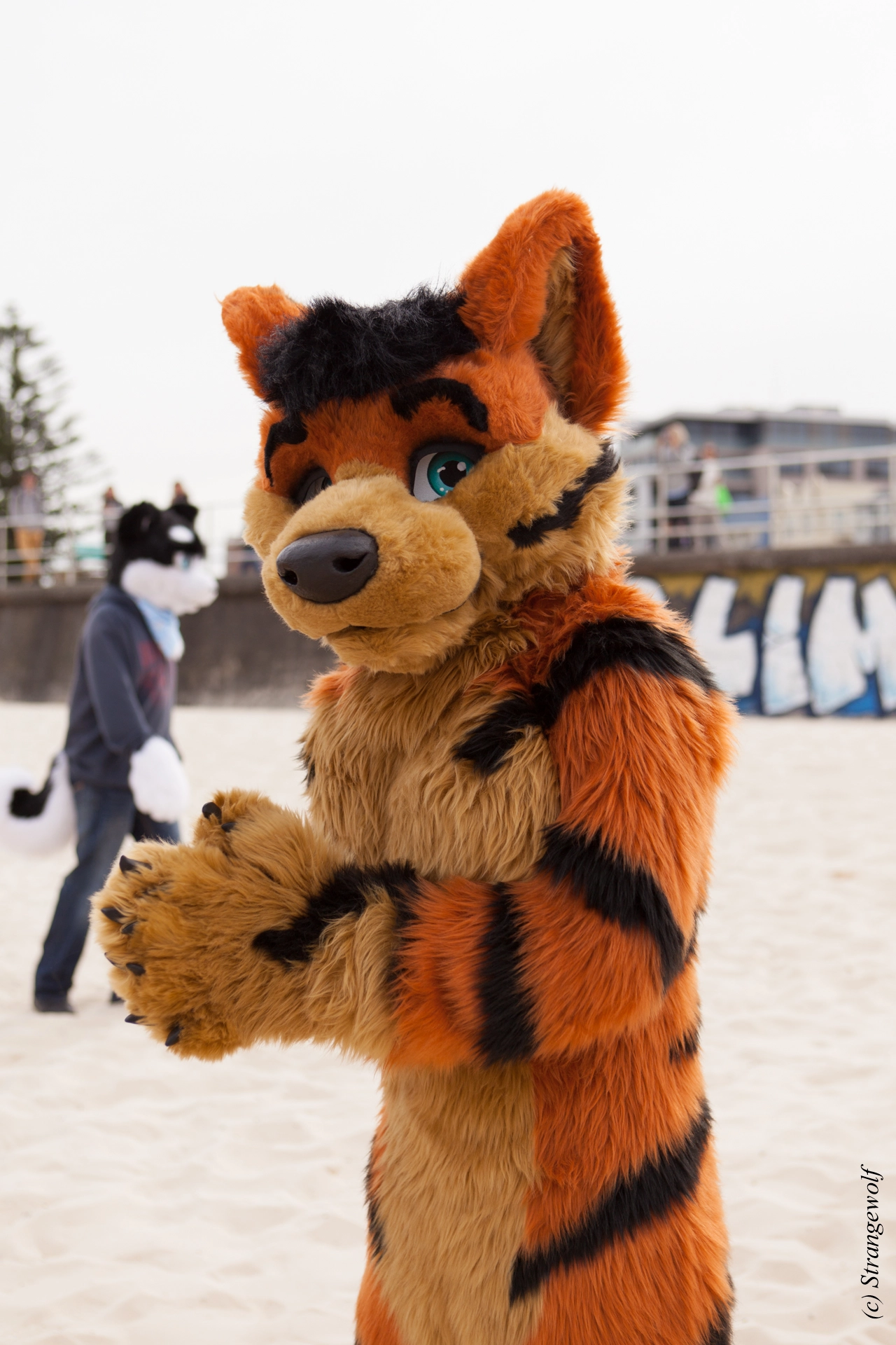 full image IMG_4436-lr19t.jpg