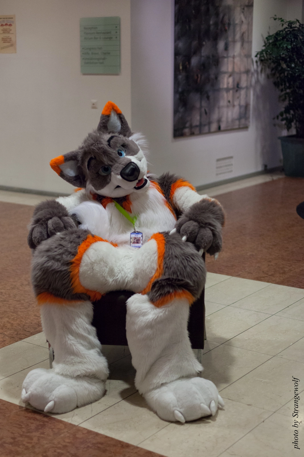 full image IMG_1602-lr16t.jpg