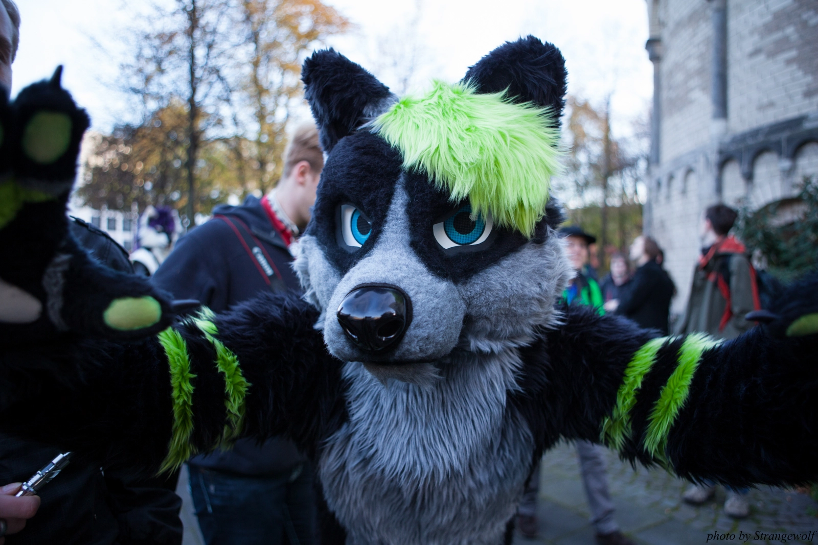 full image IMG_5291-lr16t.jpg