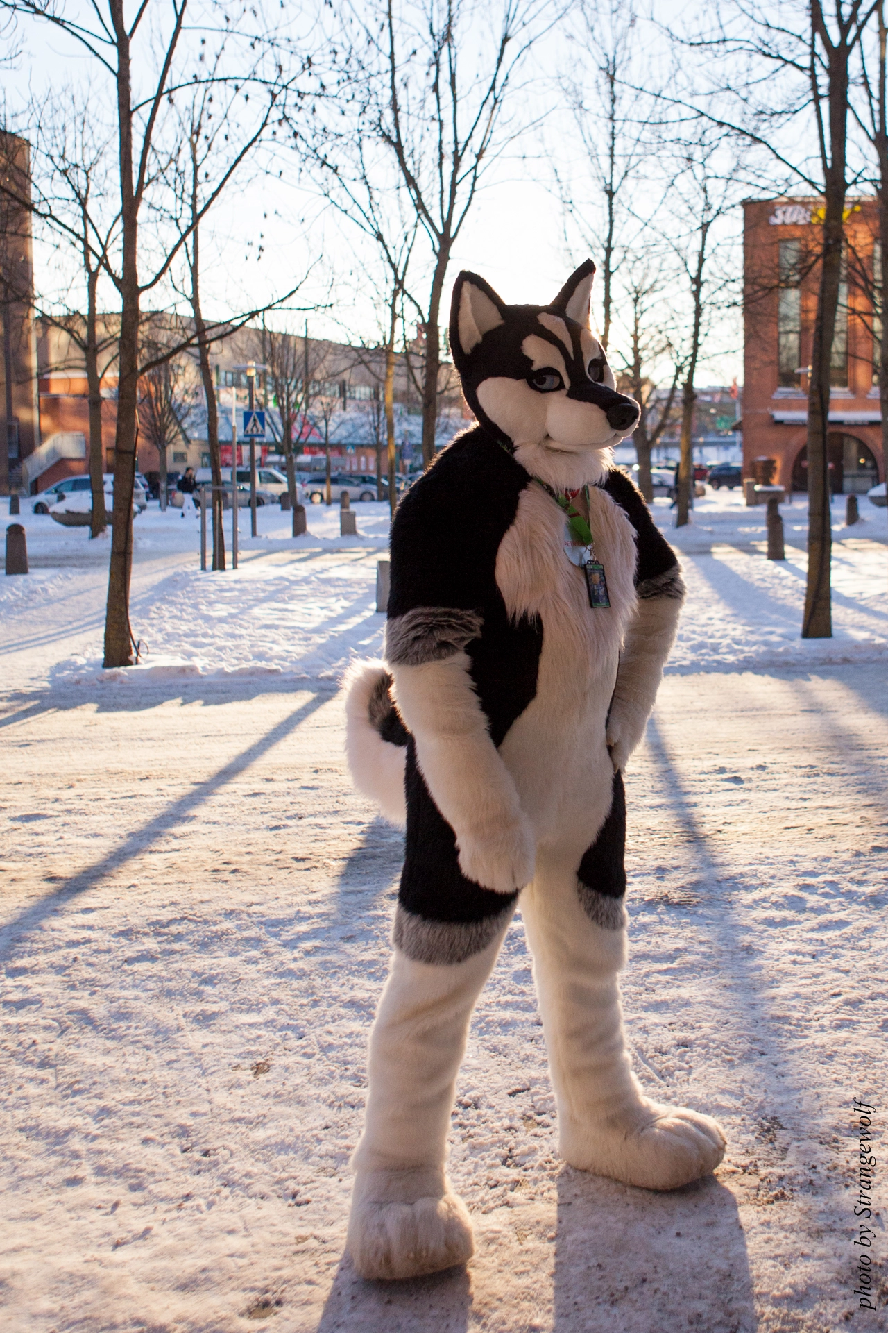 full image IMG_9171-lr19t.jpg